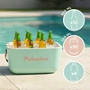 POLARBOX TERMINIS KREPŠIS PAPLŪDŽIO PIKNIKO KEMPINGUI RETRO PASSIVE 20L