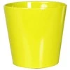 Polnix Dekoratyvinis gėlių vazonas Berlin D15cm H14cm keraminis/žalias