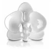 Polnix Tvirtinimas augalams Orchid 5x5cm plastikinis/baltas
