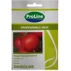 Pomidorų sėklos BROOKLYN H, 8 vnt./pak.
