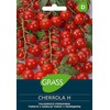 Pomidorų sėklos CHERROLA H, 0,1 g