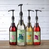 Pump for Sweetbird syrups