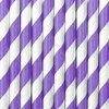 Party Deco Popieriniai šiaudeliai balta-violetinė