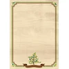 Galeria Papieru Popierius diplomams A4 170g 25l EMERALD