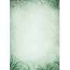 Galeria Papieru Popierius diplomams A4 170g 25l EMERALD