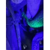 PowAir UV KING PRO 128 LED UV žibintuvėlis gintarui - USB C - gintaras
