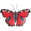 Prie sienos tvirtinamas sodo dekoras Drugelis 33x25x8cm