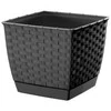 Prosperplast Dekoratyvinis gėlių vazonas Ratolla Square D25cm/H22cm antracito sp.
