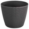 Prosperplast Dekoratyvinis gėlių vazonas Splofy D21.8cm H18.4cm plastikinis/t.pilkas