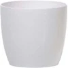 Prosperplast Dekoratyvinis gėlių vazonas Coubi D15cm/H13.5cm baltas/apvalus
