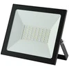Prožektorius ECO BESK 50W IP65 Juodas