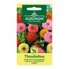 Puikiųjų gvaizdūnių THUMBELINA sėklos, 0,5 g