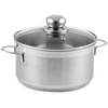 Puodas 20cm 3,6l + dangtis, indukcinis 420420 SSW CITI