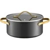 Puodas su dangčiu Royal Ambition 20cm/2.8L juodas/aukso sp.