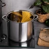 Puodas su dangteliu, 22 cm aukščio, plieno, dujų indukcija, Altom Design Fabio, 7 l