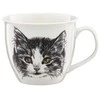 Bikuva.lt Puodelis AMBITION WILD 40001 Katė 550 ml