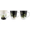 Puodelis Plants Juodas Florina 370ml