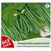 Bikuvalt Pupelės žemaūgės daržinės Contender 20g, 0483