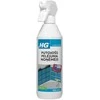 Putojanti priemonė pelėsiui nuimti HG 500ml