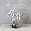 QBI Baltos orchidėjų konstrukcinės kaladėlės 581 vnt