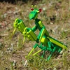 QBI Blokai - Mantis statybiniai blokeliai Vabzdžiai 167 vnt