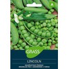 Raukšlėtųjų žirnių sėklos LINCOLN, 10 g