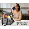 Renew Force THERMAL PICNIC BEACH BAG 29L Travel Tourist 2 NEMOKAMAI Įdėklai