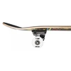 Riedlentė Tony Hawk, juoda