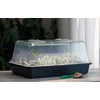 Romberg Kambarinis šiltnamis su LED lempa augalams 38x24x19cm/L20cm/5W