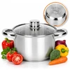 Rossner Austria TRADICINIS PLIENINIS PUODAS 16cm su DANČIU DUJOS 1,8L Ronner AUSTRIJA