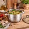 Rossner Austria TRADICINIS PLIENINIS PUODAS 18cm su dangteliu INDUKCINĖS DUJOS 2,3L Ronner AUSTRIJA