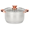 Rossner Austria TRADICINIS PLIENINIS PUODAS 20cm su dangčiu INDUKCINĖS DUJOS 2,8L Rossner AUSTRIJA