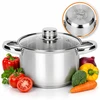 Rossner Austria TRADICINIS PLIENINIS PUODAS 18cm su dangčiu INDUKCINĖS DUJOS 2,3L Rossner AUSTRIJA