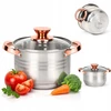 Rossner Austria TRADICINIS PLIENINIS PUODAS 20cm su dangčiu INDUKCINĖS DUJOS 2,8L Rossner AUSTRIJA