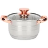 Rossner Austria TRADICINIS PLIENINIS PUODAS 16cm su dangčiu INDUKCINĖS DUJOS 1,8L Rossner AUSTRIJA