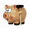 Roter Piggy bank su plaktuku w170z kryžminė kiaulė dovana taupymui
