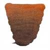 Royal Talens „Van Gogh akvarelinė spalva godet Cuivre 805“