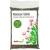 Rožinių dobilų sėklos 300g