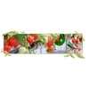 Sadvit Apelsinų sultys Apelsinų 100% Apelsinų NFC Natural Pressed 250ml