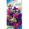 Šalavijų sėklos 0.5g