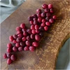 ŠALČIAME DŽIOVINTOS SPANGUOGĖS 100 % VISOS 100 g HiFOOD Natural