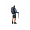 Salewa Alp Mate 36l turistinis kuprinė