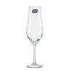 Crystalex Šampano taurės Tulipa 170ml 6vnt