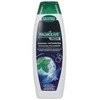 Bikuva.lt Šampūnas Palmolive Men Anti-dandruff 350ml
