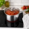 SAUGUS PLIENINIS PUODAS su dangteliu 16cm 1,8L DUJŲ INDUKCINIS ROSSNER AUSTRIJA