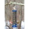 SAULĖGRĄŽOS LAUKINIAMS PAUKŠČIAMS 2,5kg TURDUS PL811