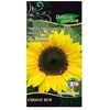 Saulėgražų sėklos Delux Garden 1g Choco Sun