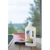 Saunos valiklis Nord Clean 1L