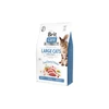 Brit Care Cat Large cats Power&amp;Vitality sausas maistas katėms 2kg