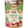Carni Love True Fresh Cat vištiena sausas maistas katėms 4,80 kg